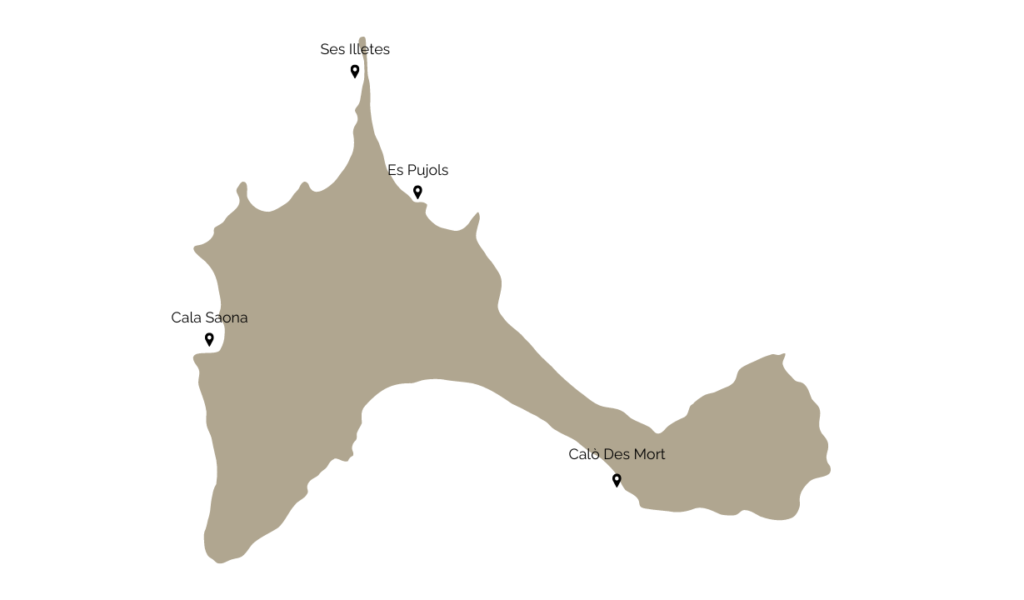 formentera map